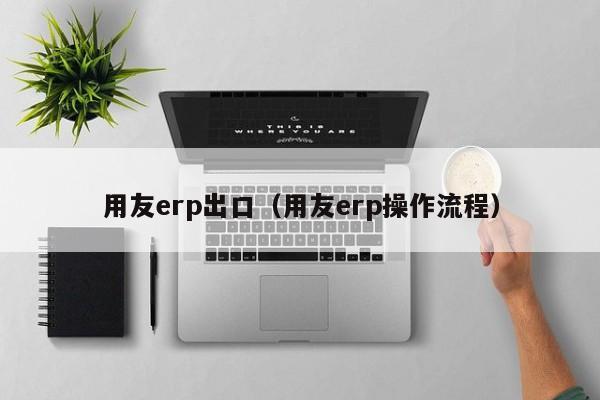 用友erp出口（用友erp操作流程）