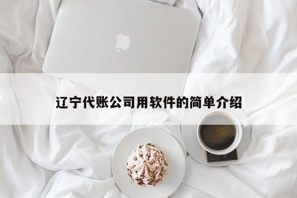 辽宁代账公司用软件的简单介绍