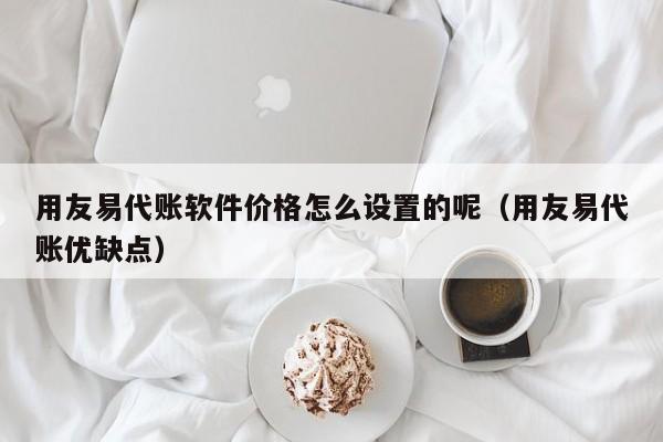 用友易代账软件价格怎么设置的呢（用友易代账优缺点）