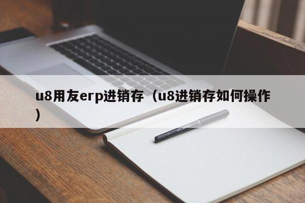 u8用友erp进销存（u8进销存如何操作）