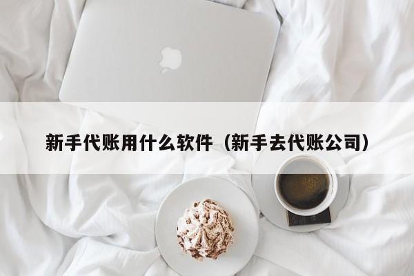 新手代账用什么软件（新手去代账公司）