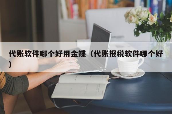 代账软件哪个好用金蝶（代账报税软件哪个好）