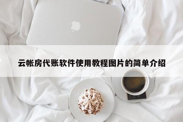 云帐房代账软件使用教程图片的简单介绍