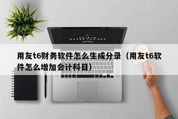 用友t6财务软件怎么生成分录（用友t6软件怎么增加会计科目）