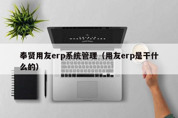 奉贤用友erp系统管理（用友erp是干什么的）