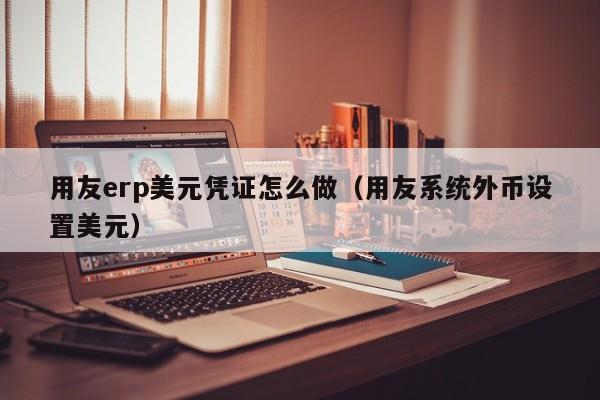 用友erp美元凭证怎么做（用友系统外币设置美元）