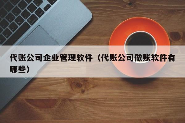 代账公司企业管理软件（代账公司做账软件有哪些）