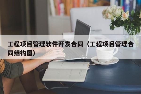 工程项目管理软件开发合同（工程项目管理合同结构图）