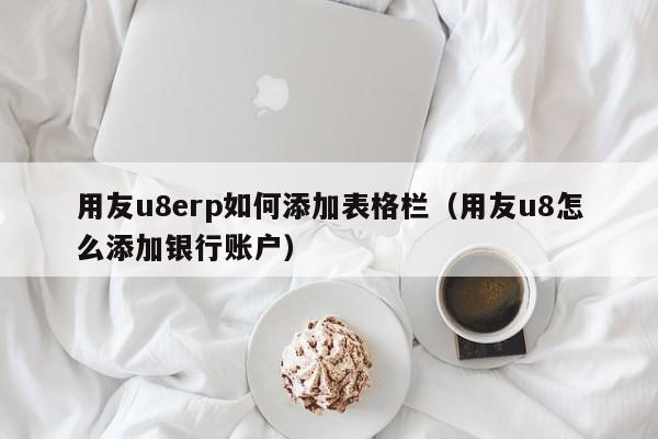 用友u8erp如何添加表格栏（用友u8怎么添加银行账户）