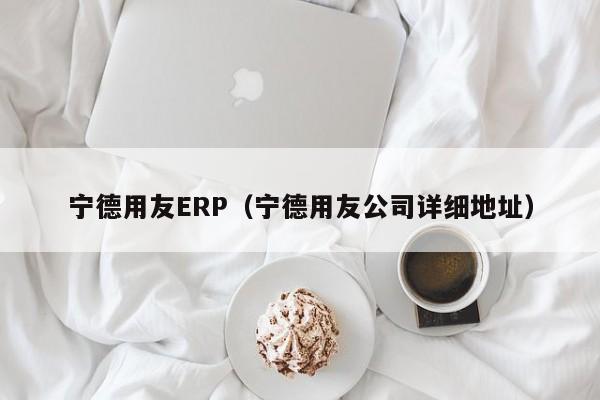 宁德用友ERP（宁德用友公司详细地址）