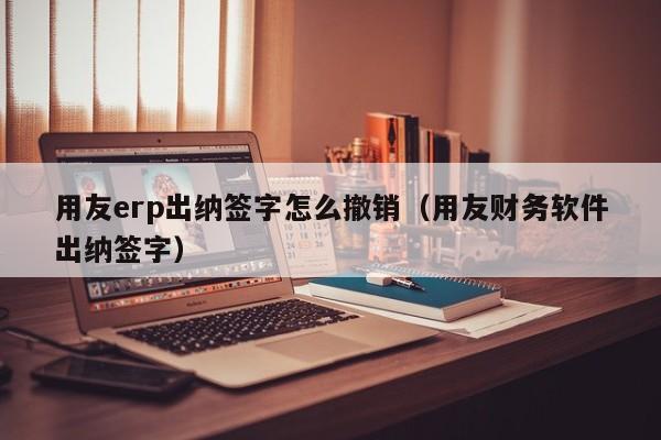 用友erp出纳签字怎么撤销（用友财务软件出纳签字）