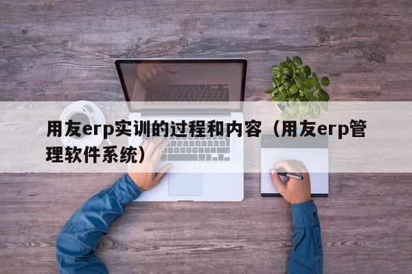 用友erp实训的过程和内容（用友erp管理软件系统）