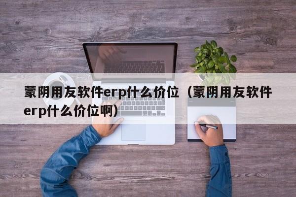 蒙阴用友软件erp什么价位（蒙阴用友软件erp什么价位啊）