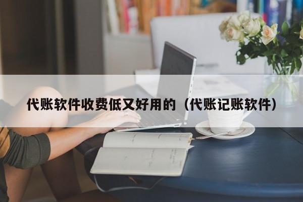 代账软件收费低又好用的（代账记账软件）