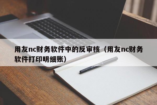 用友nc财务软件中的反审核（用友nc财务软件打印明细账）