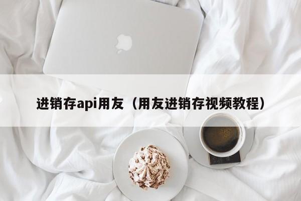 进销存api用友（用友进销存视频教程）