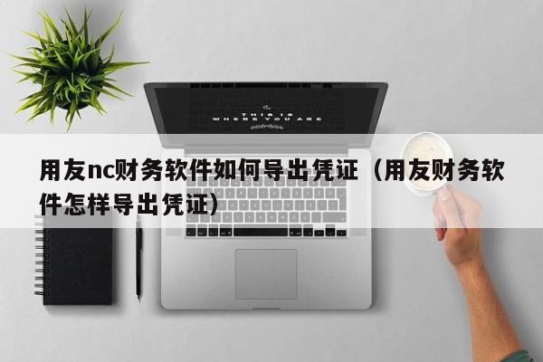 用友nc财务软件如何导出凭证（用友财务软件怎样导出凭证）