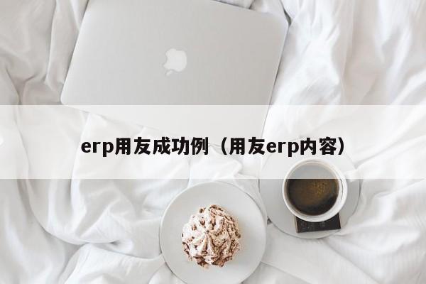 erp用友成功例（用友erp内容）