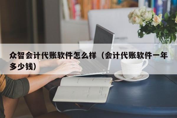 众智会计代账软件怎么样（会计代账软件一年多少钱）