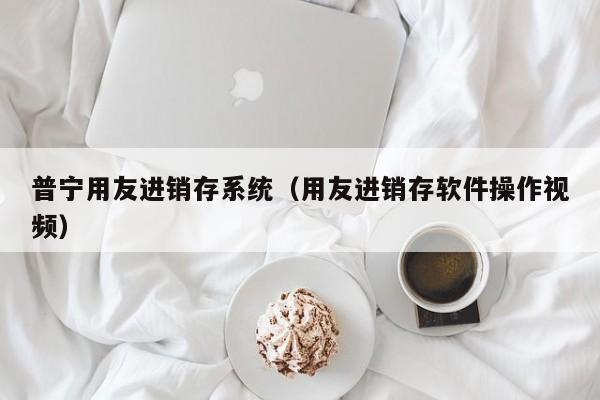 普宁用友进销存系统（用友进销存软件操作视频）