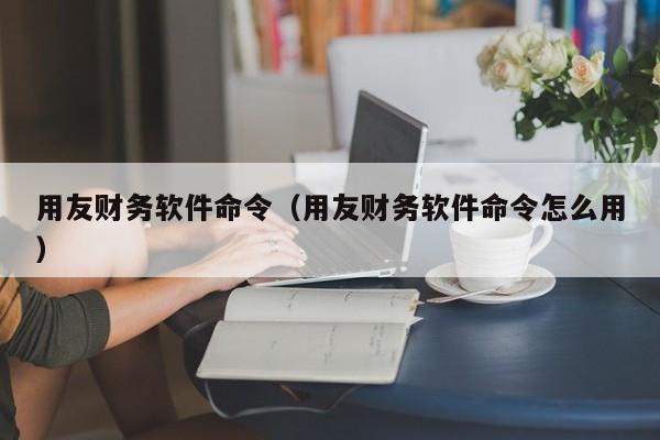 用友财务软件命令（用友财务软件命令怎么用）