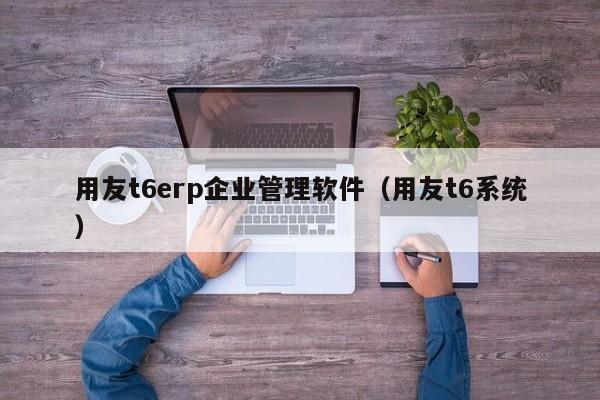 用友t6erp企业管理软件（用友t6系统）