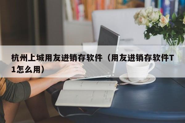 杭州上城用友进销存软件（用友进销存软件T1怎么用）