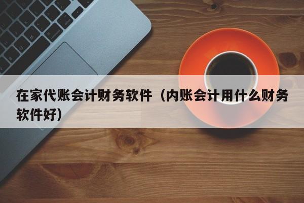 在家代账会计财务软件（内账会计用什么财务软件好）