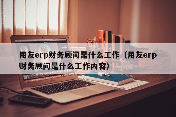 用友erp财务顾问是什么工作（用友erp财务顾问是什么工作内容）