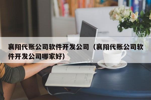 襄阳代账公司软件开发公司（襄阳代账公司软件开发公司哪家好）