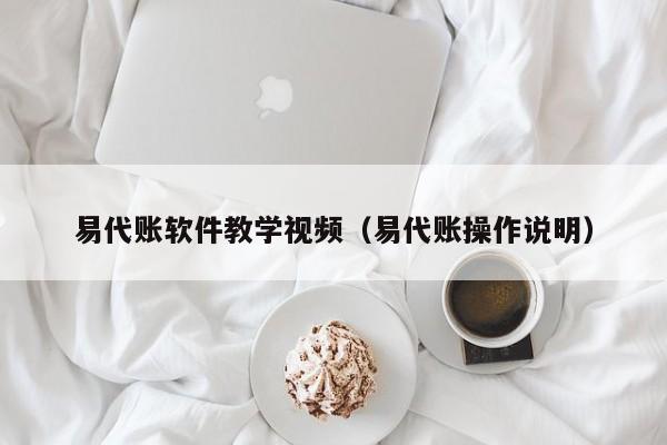 易代账软件教学视频（易代账操作说明）