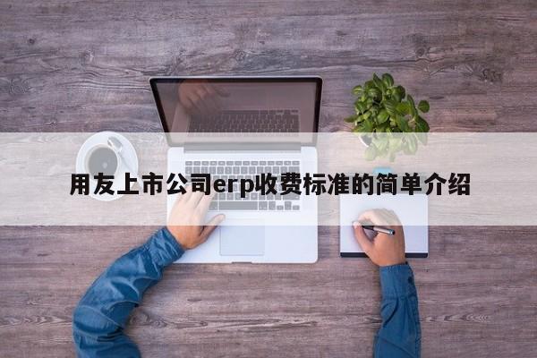 用友上市公司erp收费标准的简单介绍