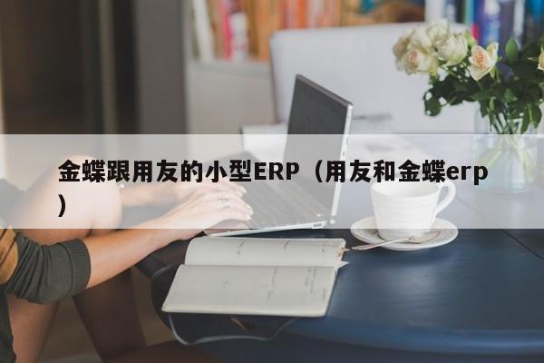 金蝶跟用友的小型ERP（用友和金蝶erp）