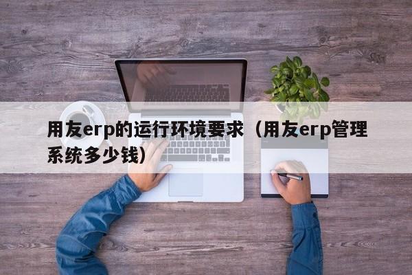 用友erp的运行环境要求（用友erp管理系统多少钱）