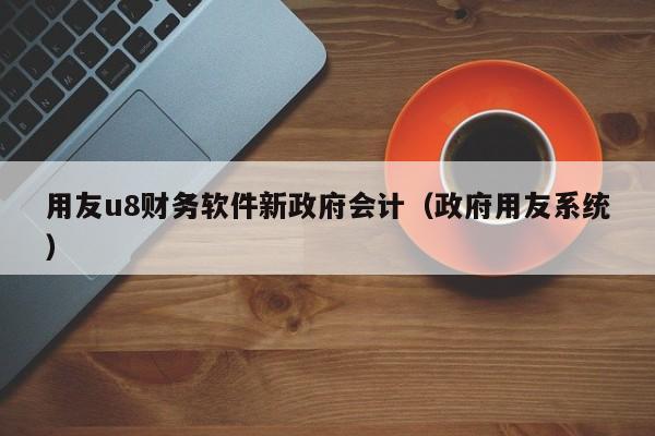 用友u8财务软件新政府会计（政府用友系统）