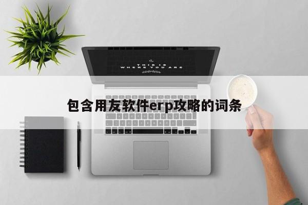 包含用友软件erp攻略的词条