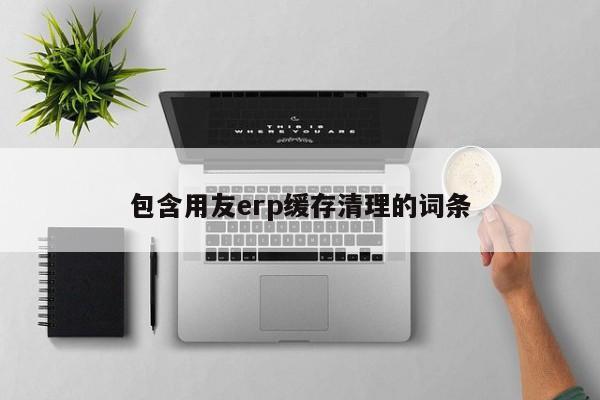 包含用友erp缓存清理的词条