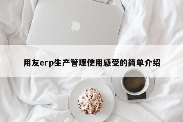 用友erp生产管理使用感受的简单介绍