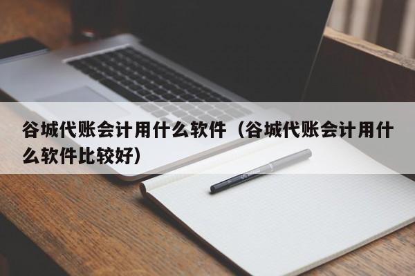 谷城代账会计用什么软件（谷城代账会计用什么软件比较好）