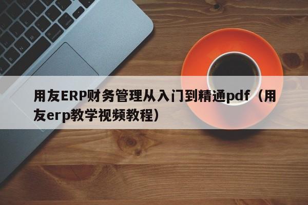 用友ERP财务管理从入门到精通pdf（用友erp教学视频教程）