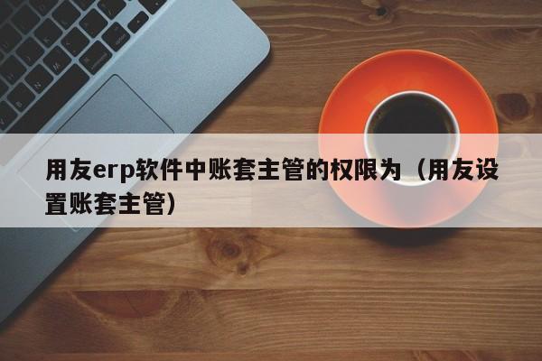 用友erp软件中账套主管的权限为（用友设置账套主管）