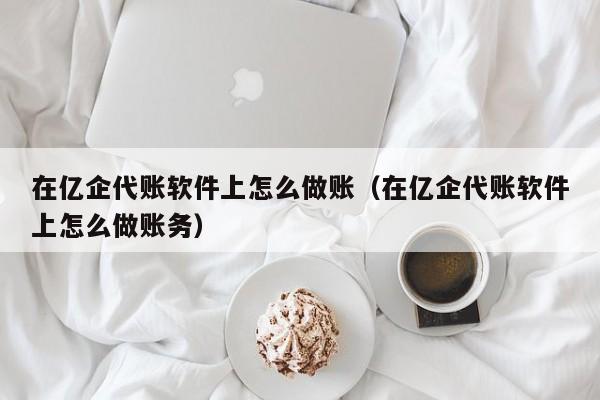 在亿企代账软件上怎么做账（在亿企代账软件上怎么做账务）