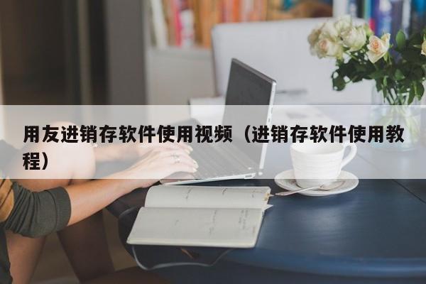 用友进销存软件使用视频（进销存软件使用教程）