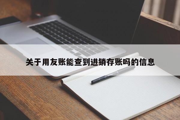 关于用友账能查到进销存账吗的信息