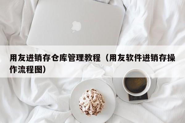 用友进销存仓库管理教程（用友软件进销存操作流程图）