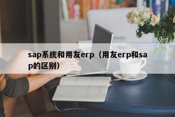 sap系统和用友erp（用友erp和sap的区别）