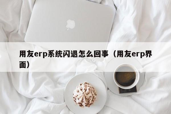 用友erp系统闪退怎么回事（用友erp界面）