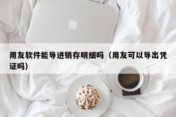 用友软件能导进销存明细吗（用友可以导出凭证吗）