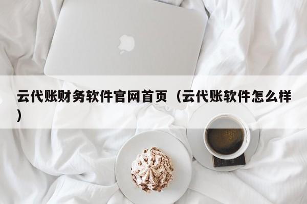 云代账财务软件官网首页（云代账软件怎么样）