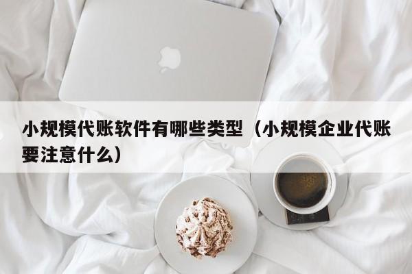 小规模代账软件有哪些类型（小规模企业代账要注意什么）